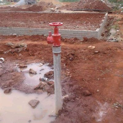 WhatsApp Image 2022-03-23 at 1.14.15 PM