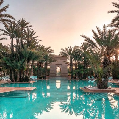 pexels-vincent-rivaud-2227774